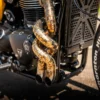 Gold Bobber Gallery Image 6